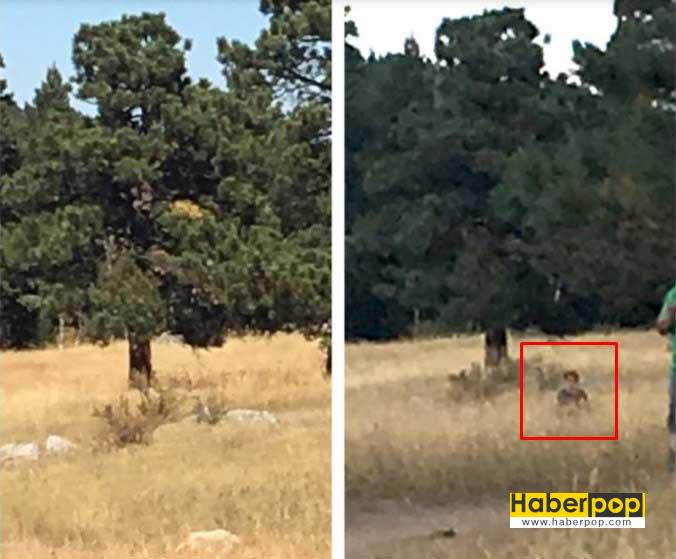 fotografta-sonrada-gorulen-gizemli-adam-ilginc-haberler