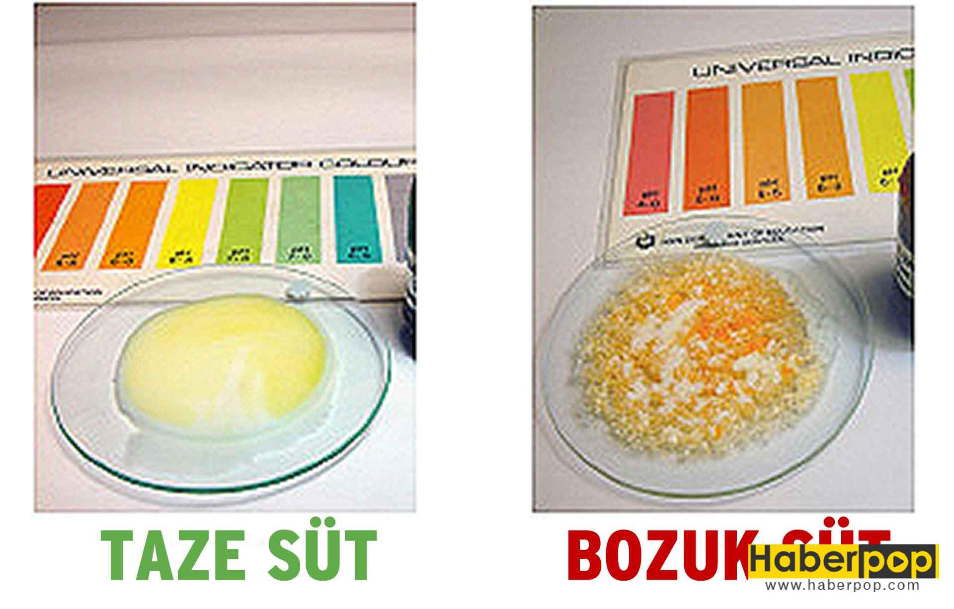 Bayat Yumurta Nasıl Anlaşılır Bayat Yumurta Nasıl Anlaşılır