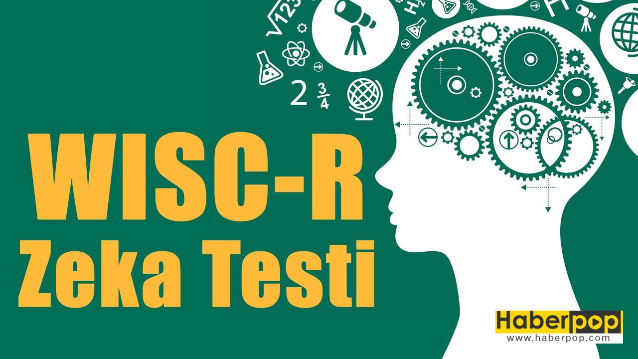 Zeka Testi Ne Zaman Yapılır Zeka Testi Ne Zaman Yapılır