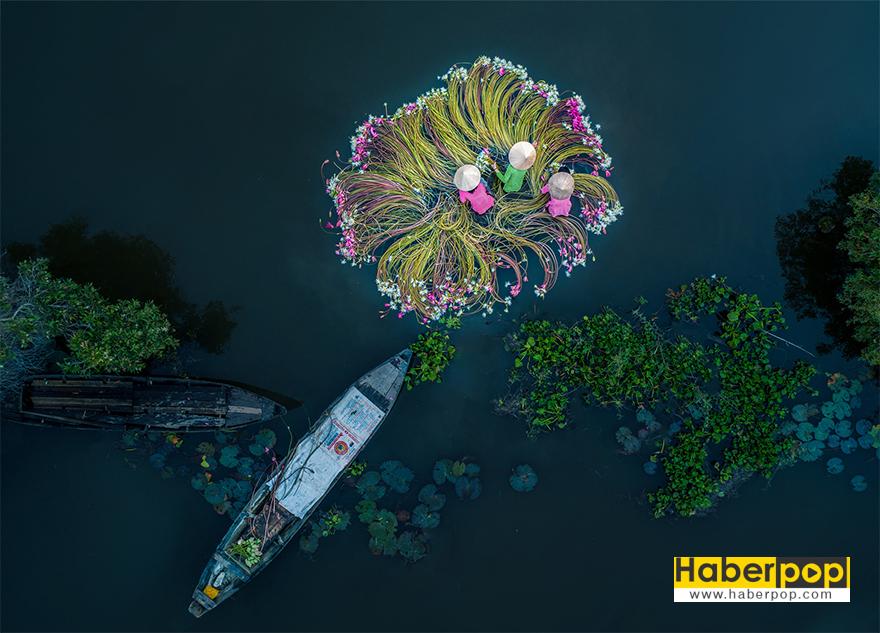 Eğlence Kategorisinde Birincilik Ödülü Kazanan, "Sudaki Çiçekler" skypixel 4